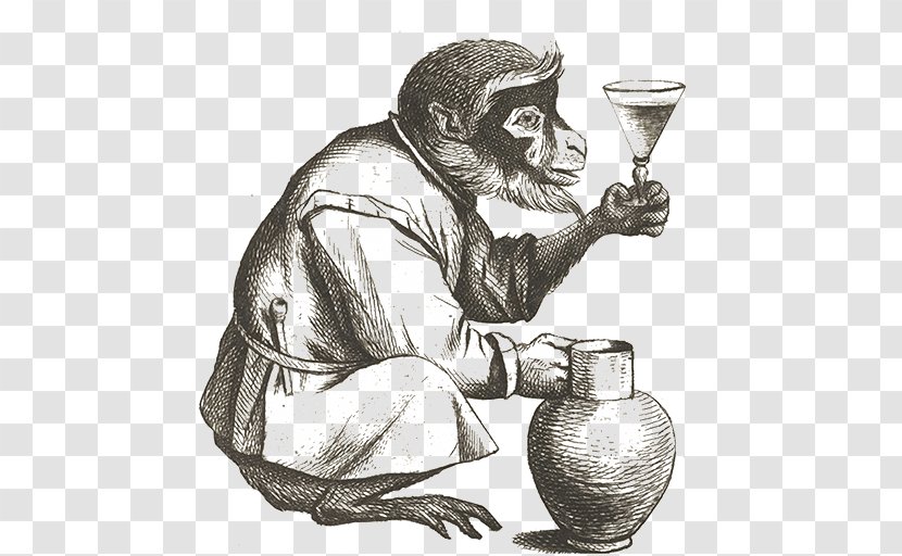 Monkey Cocktail Common Chimpanzee Engraving Fizz - Animal Transparent PNG