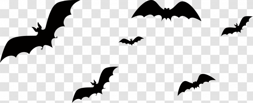 Bat Halloween - Monochrome Transparent PNG