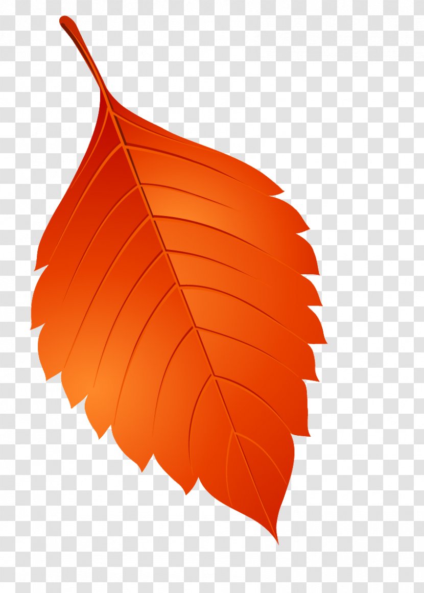 Leaf Clip Art - Red Transparent PNG