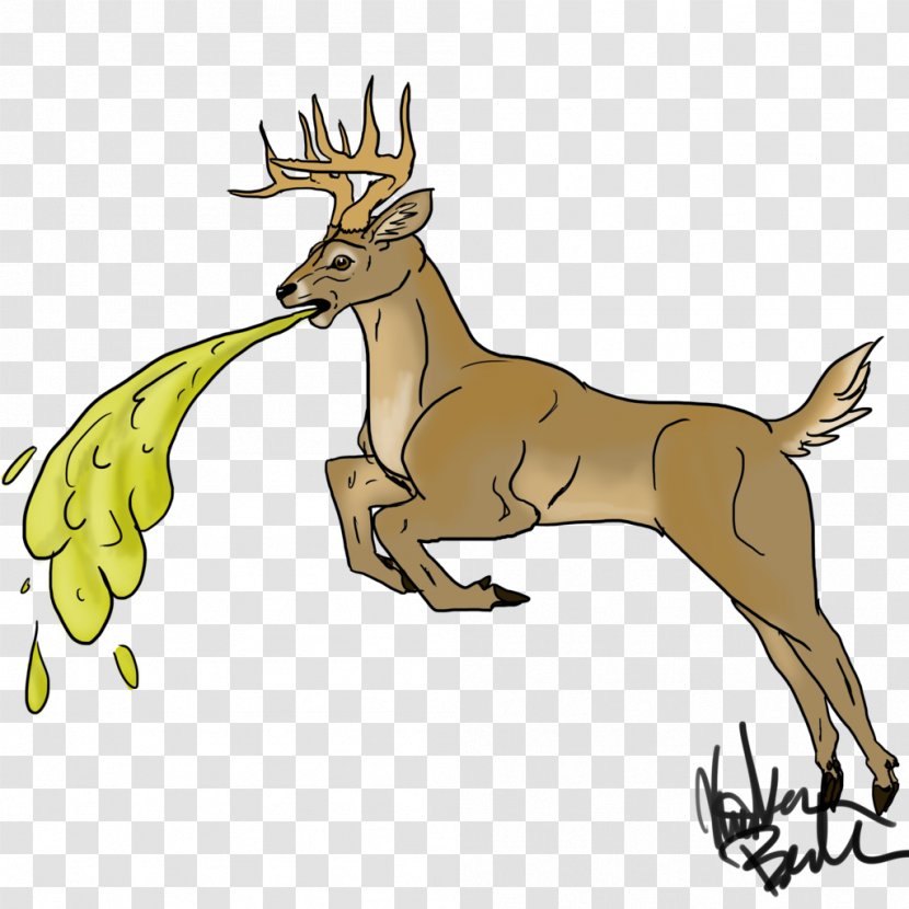 Reindeer Elk White-tailed Deer Coffee Ground Vomiting - Animal - Head Transparent PNG