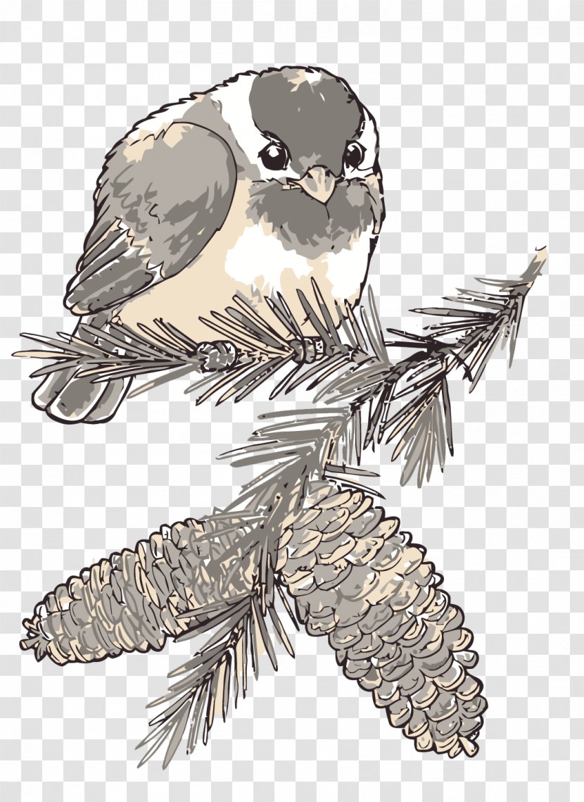 Watercolor Painting - Fauna - Vector Pine On The Sparrow Transparent PNG