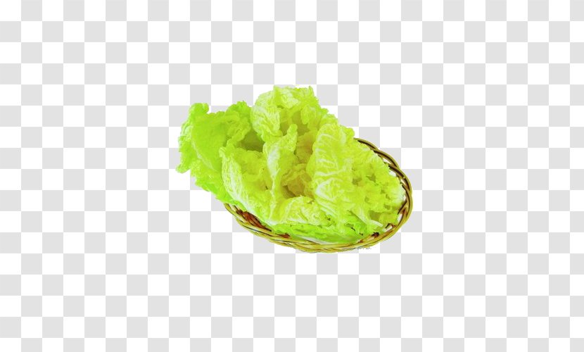 Hot Pot Chinese Cabbage Vegetable Napa - A Field Transparent PNG