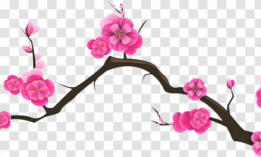 Cherry Blossom - Cut Flowers Petal Transparent PNG