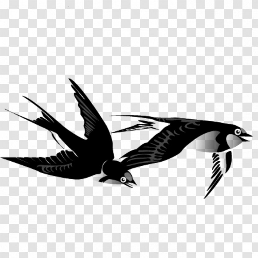 Swallow Bird Ink Wash Painting Chinese - Drawing Transparent PNG