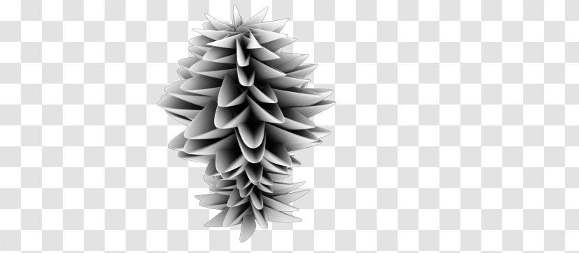 Fir Christmas Ornament Spruce Tree Pine Transparent PNG