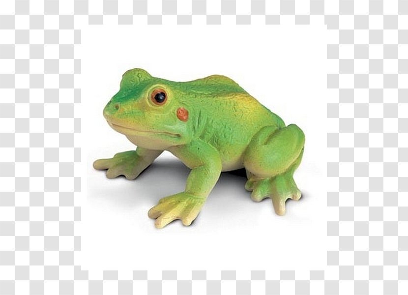 Five Little Speckled Frogs Amazon.com Schleich Toy - Child - Frog Transparent PNG