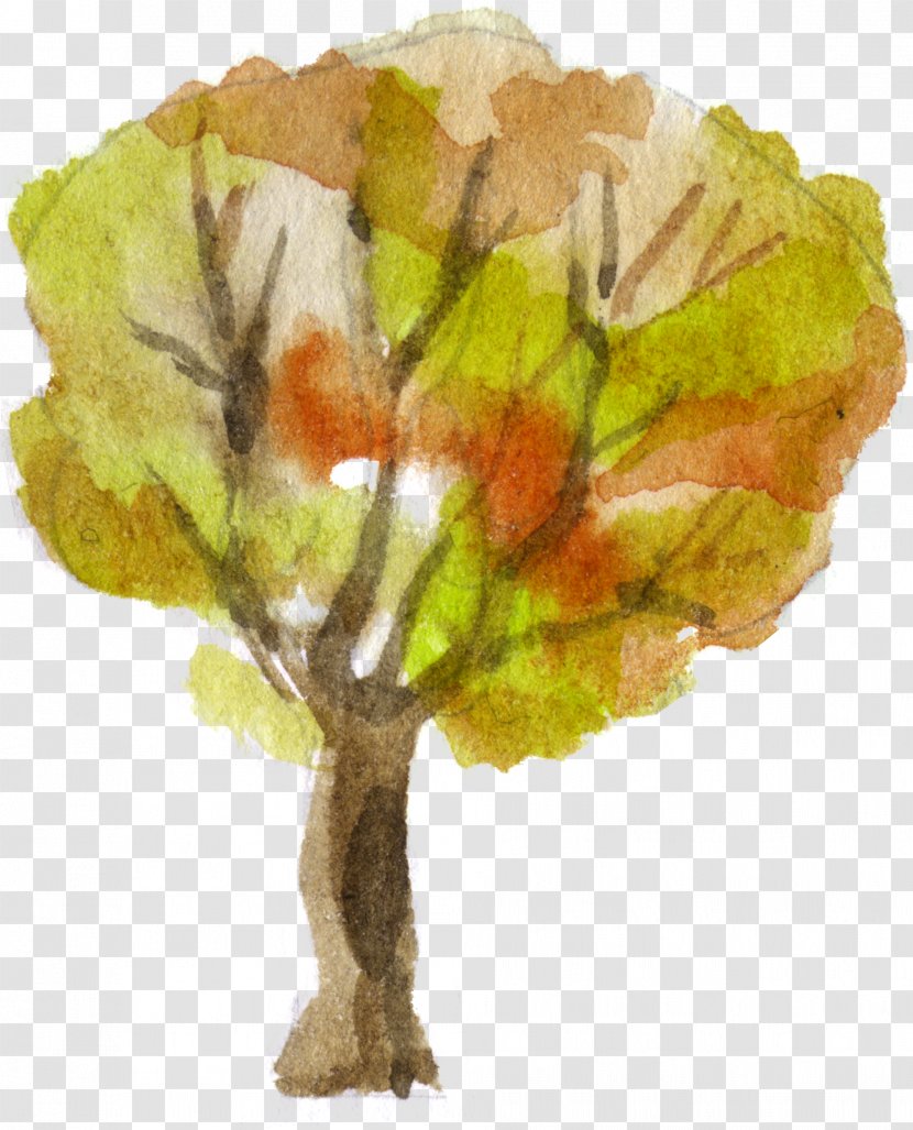 Tree Cartoon Comics Download Transparent PNG