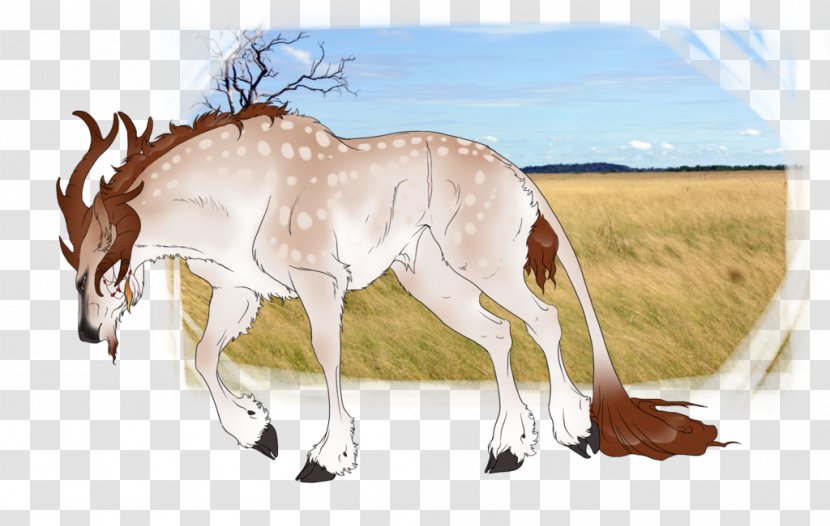 Mustang Foal Mare Deer Springbok Transparent PNG