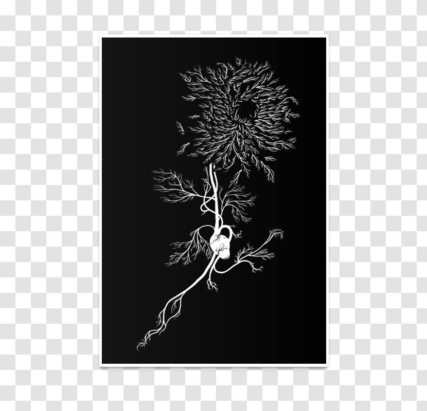 Chrysanthemum Wisgoon TeePublic T-shirt Visual Arts - Teepublic - White Transparent PNG