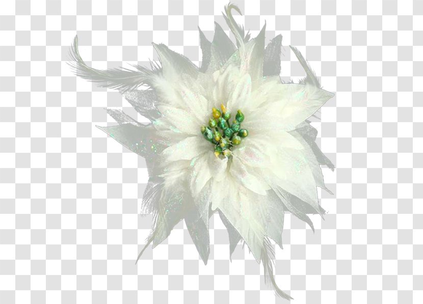 Marriage Flower - Chrysanths - Adornos Transparent PNG
