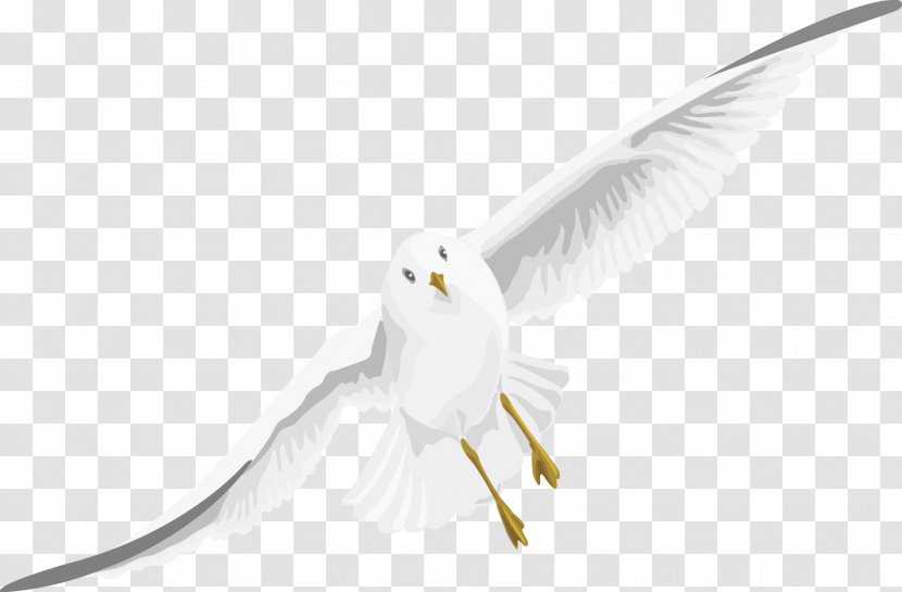 Beak Bird Of Prey Feather Wing - Fictional Character - White Geese Fly Birds Vector Transparent PNG
