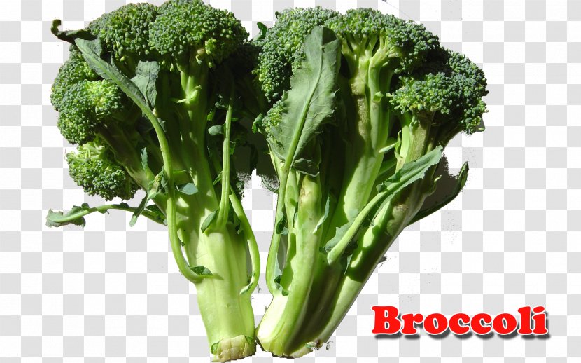 Broccoli Dairy Products Milk Food Calcium - Rapini Transparent PNG