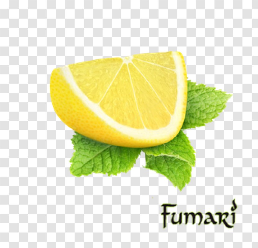 Stock Photography Lemonade Lime Food - Citrus - Lemon Transparent PNG