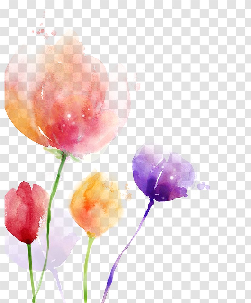 South Korea Watercolor Painting Flower - Tulip Transparent PNG