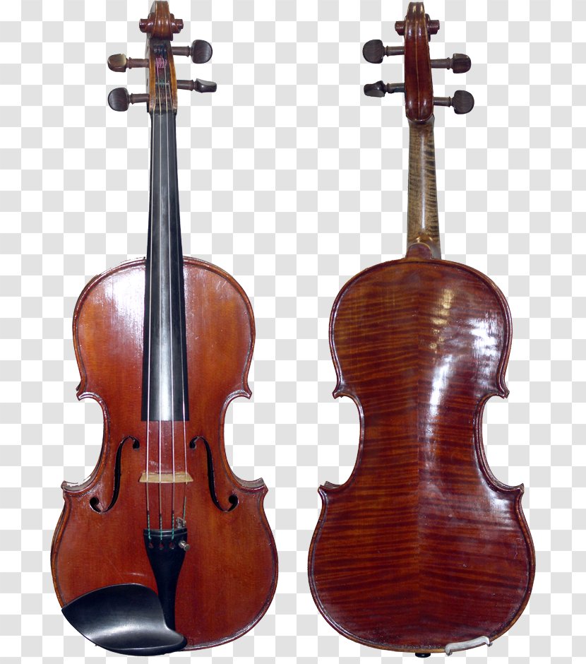 Cremona Amati Violin Guarneri Stradivarius - Cello Transparent PNG