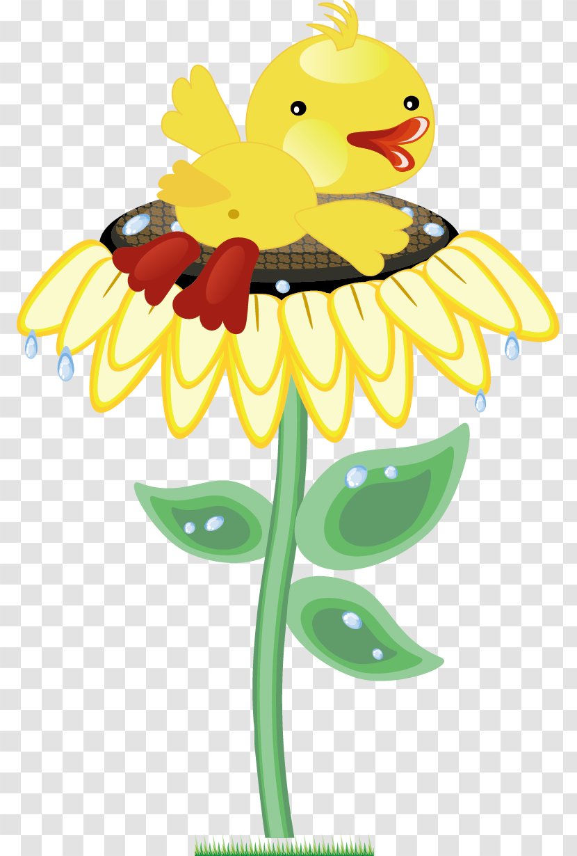Duck - Petal - Sunflower Transparent PNG