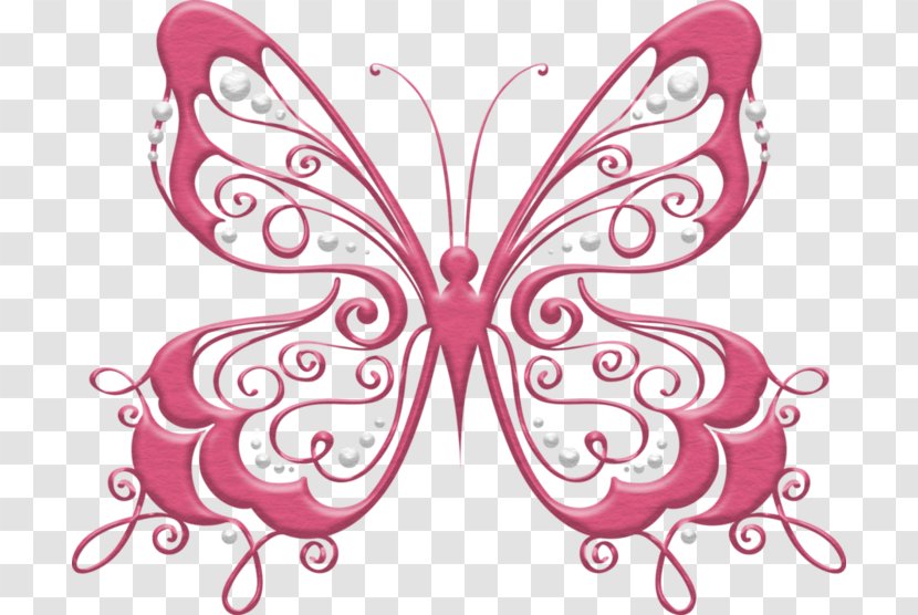 Butterfly Clip Art Drawing Image Silhouette Transparent PNG