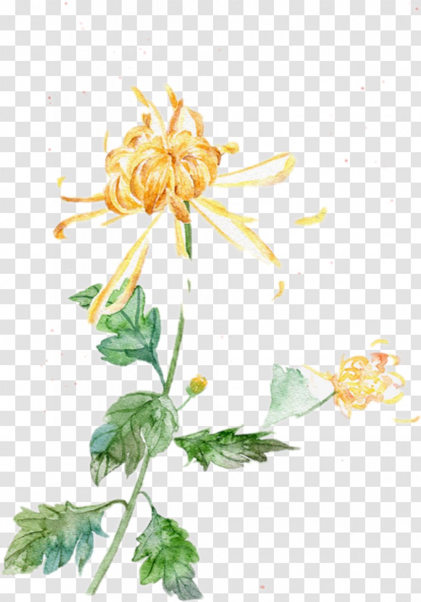 Double Ninth Festival Illustration Poster Painting - Publicity - Chrysanthemum Leaves Watercolor Gouache Transparent PNG