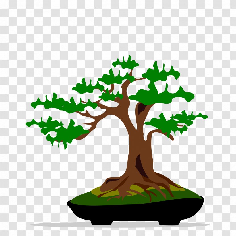 Bonsai Tree Ficus Retusa Clip Art - Flowerpot Transparent PNG