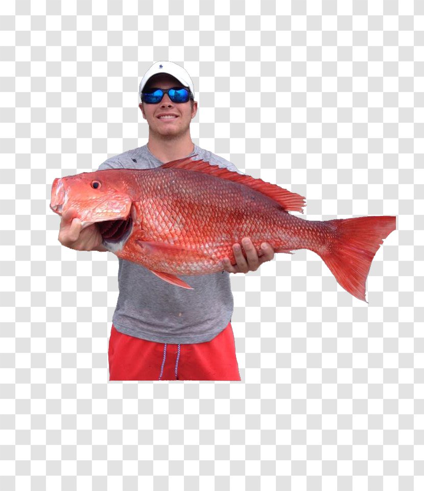 Recreational Boat Fishing Northern Red Snapper Spearfishing Transparent PNG