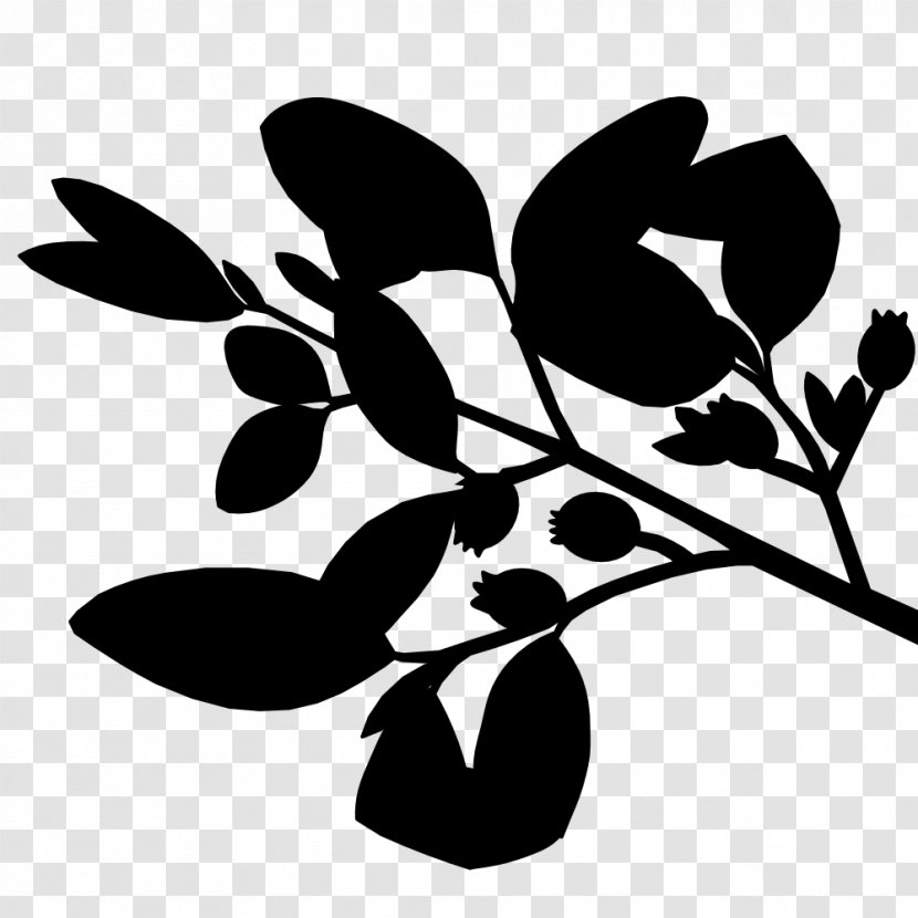 Black And White Flower - Plant - Pedicel Twig Transparent PNG