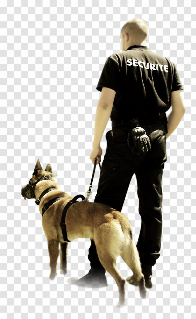 Security Guard Safety Prévention Et Sécurité Privée En France Maître-chien Certificat De Qualification Professionnelle - Alarm Device - Chian Transparent PNG
