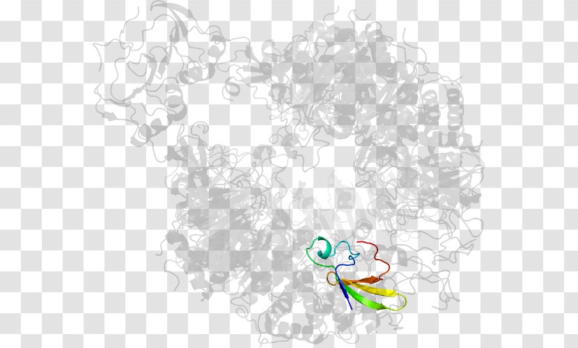 Drawing Line Art Graphic Design Clip - Cartoon - Acetolactate Synthase Transparent PNG
