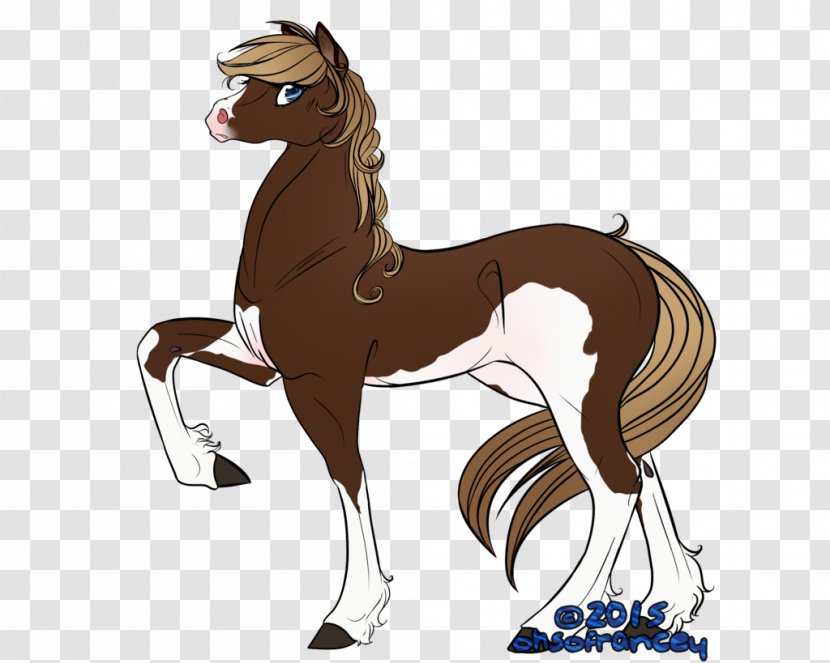 Foal Mustang Stallion Colt Halter Transparent PNG