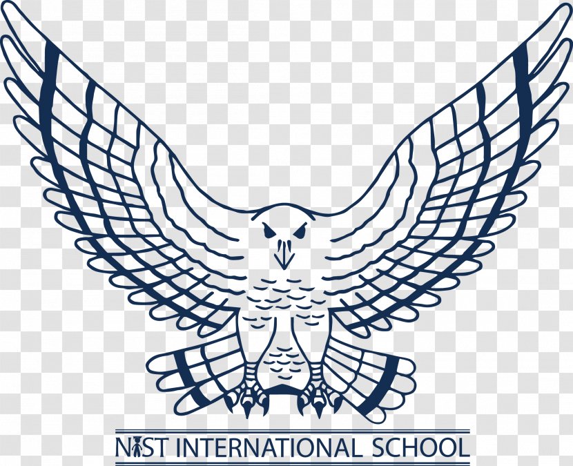 NIST International School Atlanta Falcons Sport Logo - Line Art Transparent PNG