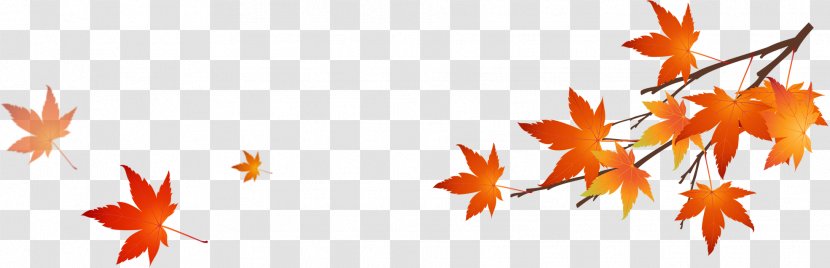 Text Leaf Illustration - Plant - Autumn Leaves Transparent PNG