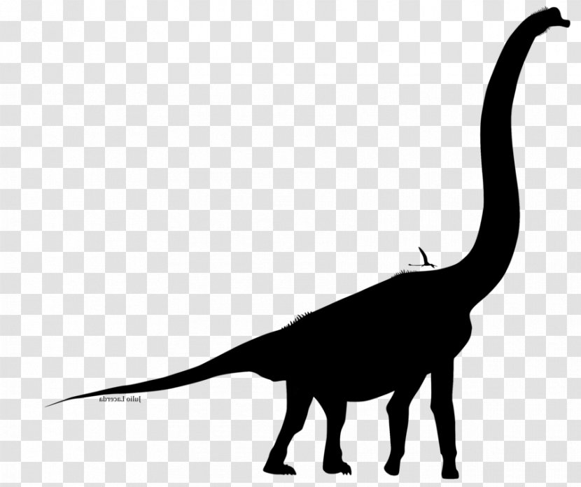 Tyrannosaurus Paleoart: Visions Of The Prehistoric Past Dinosaur Paleontology - Tail - Extinction Transparent PNG