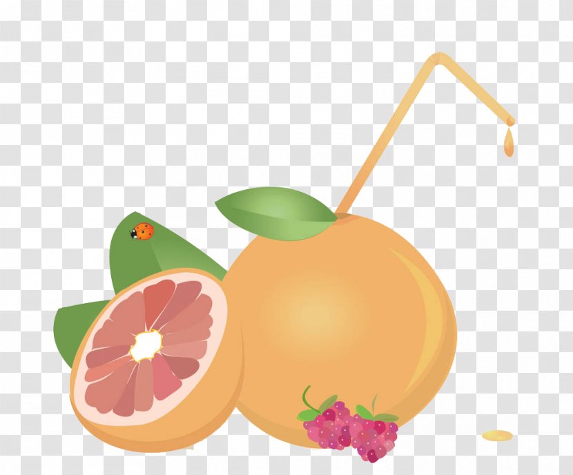 Juice Grapefruit Euclidean Vector - Peach - Cartoon Lemon Transparent PNG