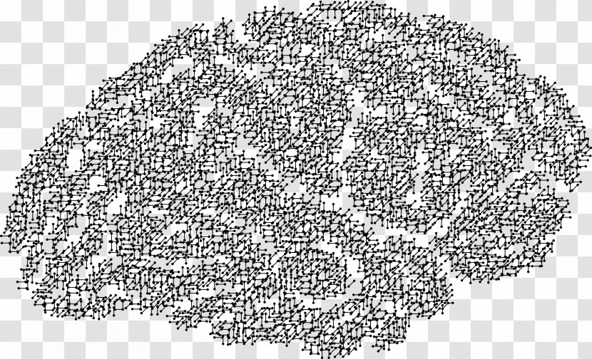 Human Brain Head Clip Art - Skull Transparent PNG