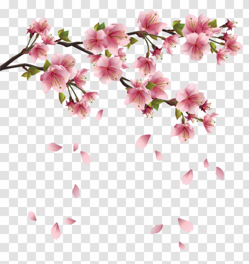 Petal Clip Art - Floristry - Beautiful Pink Spring Branch With Falling Petals Clipart Transparent PNG