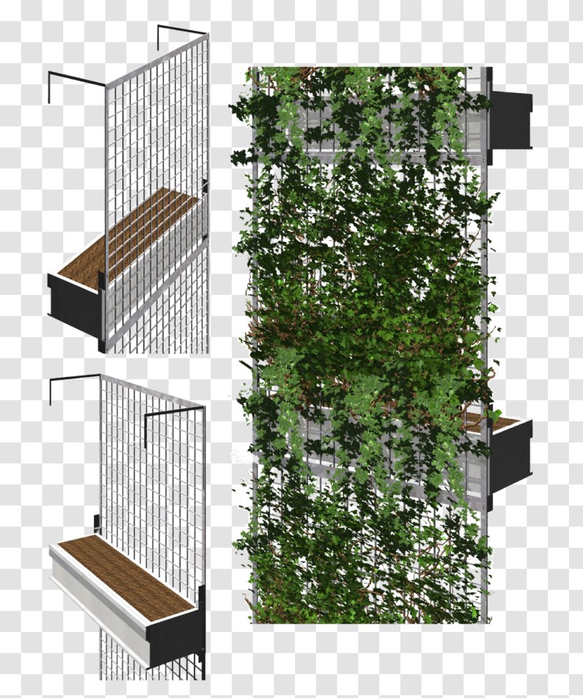 Facade Green Wall Architecture Garden - Building Transparent PNG