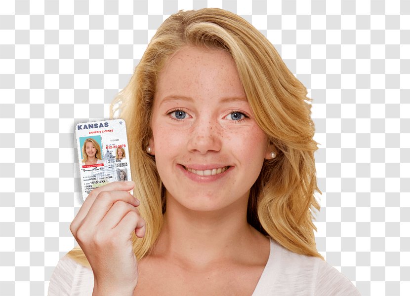 California Department Of Motor Vehicles Learner's Permit Driver's License Driving - Chin - Discount Live Transparent PNG