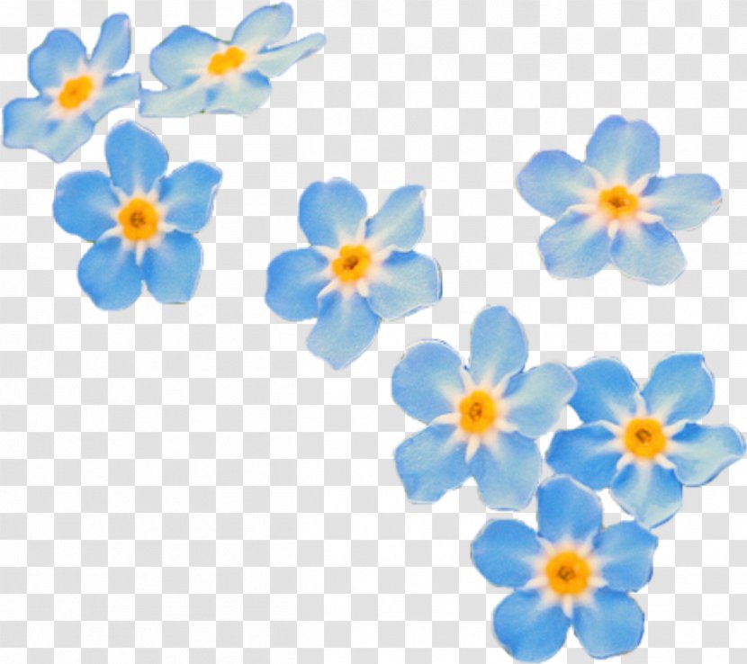 Cartoon Nature Background - Wildflower - Forgetmenot Transparent PNG