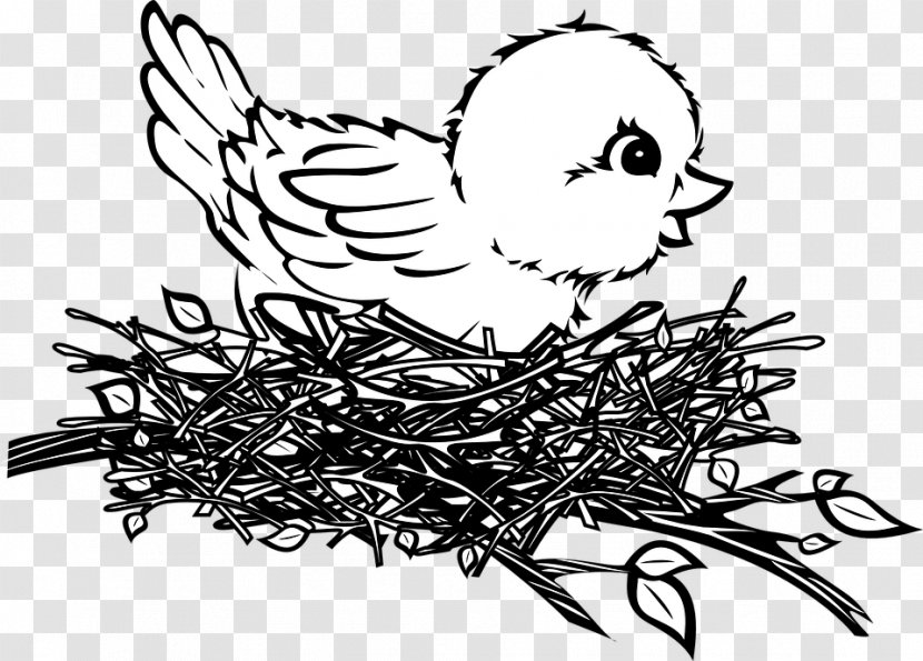 Bird Nest Drawing Clip Art - Wing - Bebeoiseau Transparent PNG
