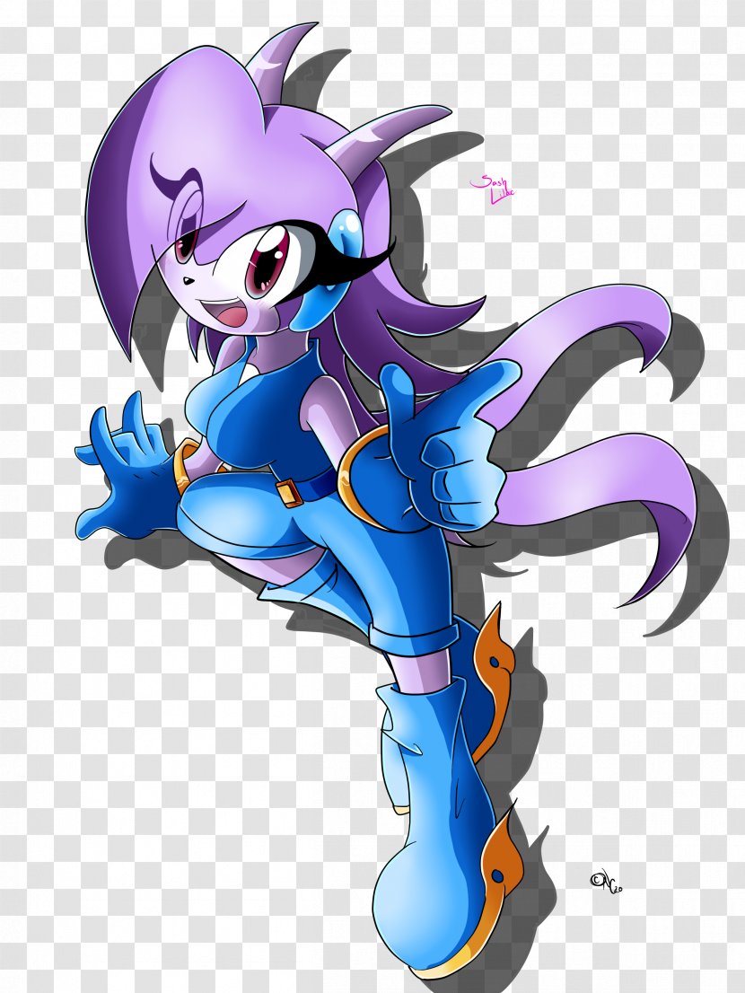 Freedom Planet Sash Sonic The Hedgehog Lilac Game - Frame Transparent PNG