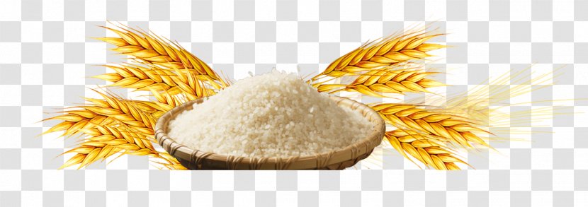 Common Wheat Flattened Rice Staple Food - Element Transparent PNG
