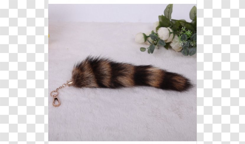 Cat Fur Tail Transparent PNG