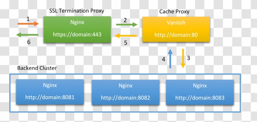 Varnish Nginx TLS Termination Proxy Transport Layer Security HTTPS - Software - Text Transparent PNG