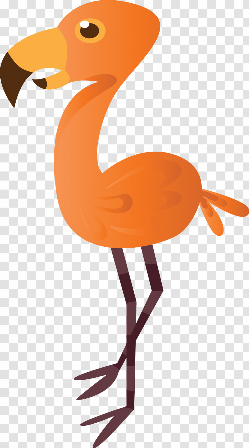 Orange Transparent PNG