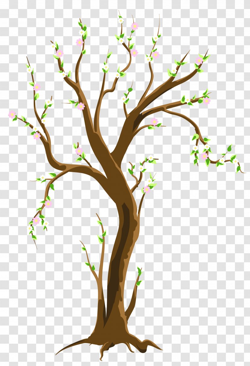 Tree Spring Clip Art - Flowering Plant - Trees Cliparts Transparent PNG