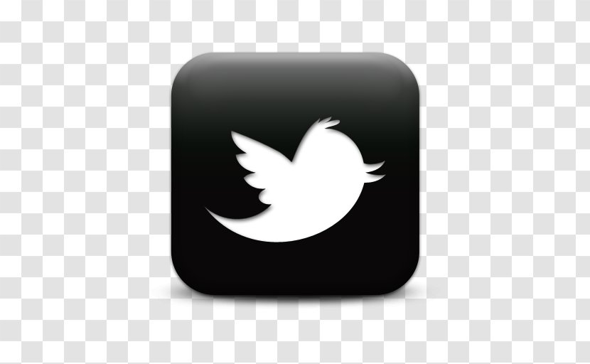 United States Social Media Google Tweetie Company - Water Bird - Creative Dice Transparent PNG