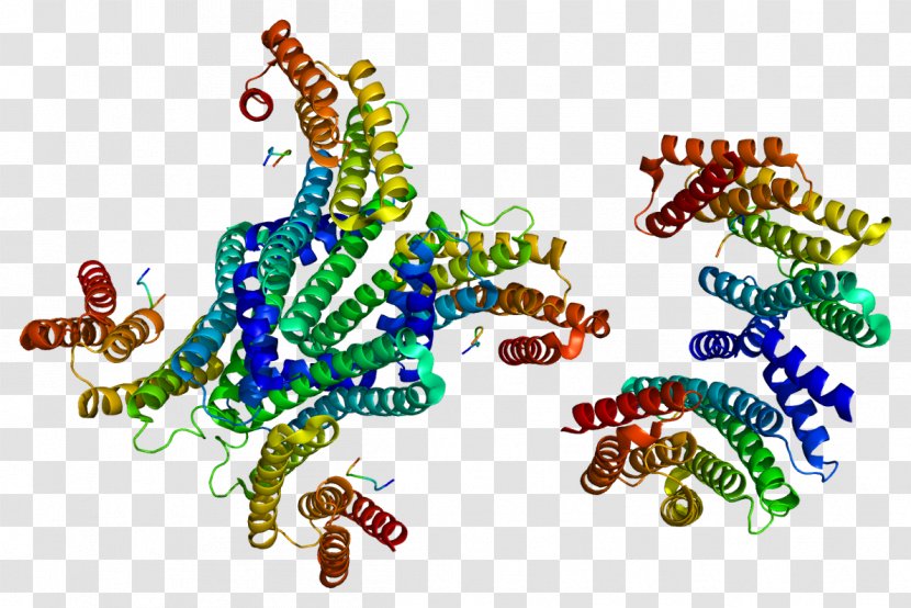 UBE3A 14-3-3 Protein Gene Cell-free Synthesis - Tree - Watercolor Transparent PNG