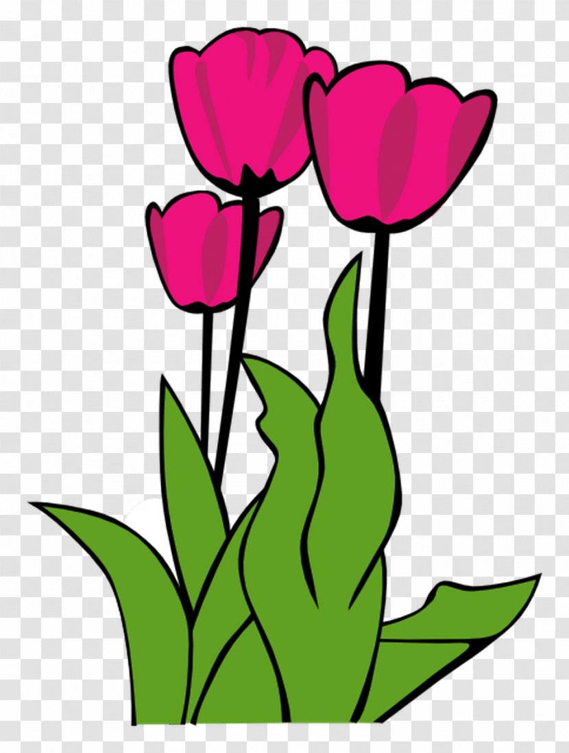 Clip Art Tulip Openclipart Image Flower - Royaltyfree Transparent PNG