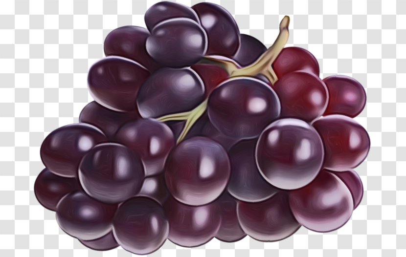 Grape Fruit Grapevine Family Food Seedless - European Plum - Berry Transparent PNG