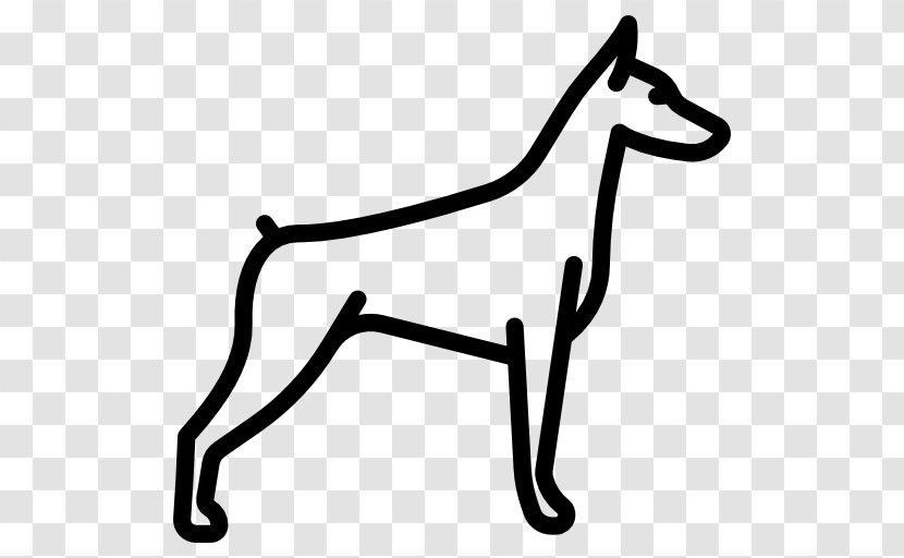 Dobermann Basenji Canidae Puppy Saluki Transparent PNG