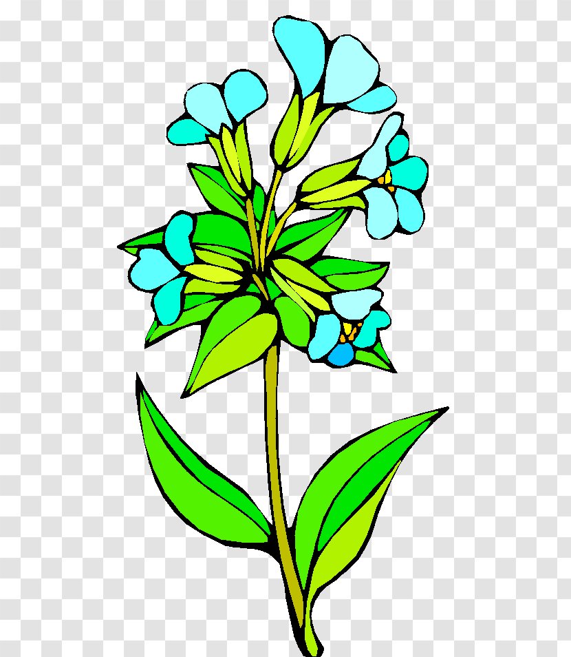 Floral Design Clip Art Cut Flowers Image - Plant - Bungabunga Persik M Transparent PNG